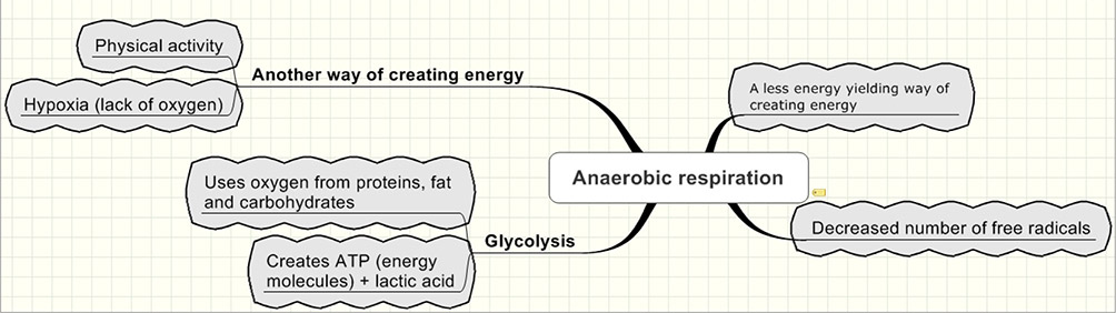 aerobic respiration waste products